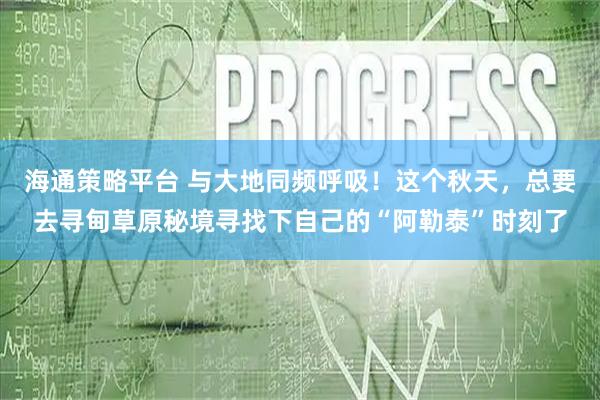 海通策略平台 与大地同频呼吸！这个秋天，总要去寻甸草原秘境寻找下自己的“阿勒泰”时刻了