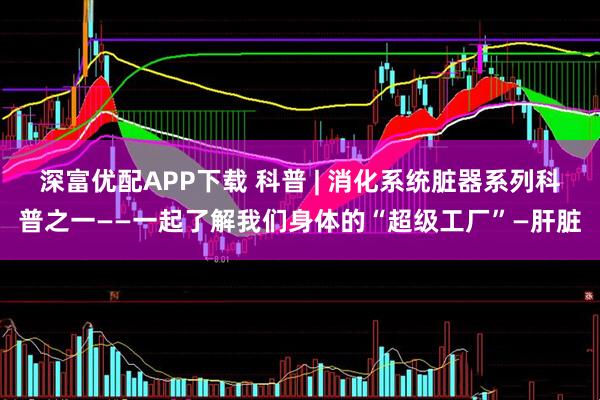 深富优配APP下载 科普 | 消化系统脏器系列科普之一——一起了解我们身体的“超级工厂”—肝脏