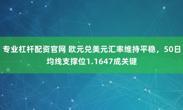 专业杠杆配资官网 欧元兑美元汇率维持平稳，50日均线支撑位1.1647成关键